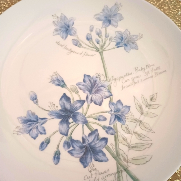 Lenox Dining Lenox Artist Sketchbook Dinner Plates Poshmark